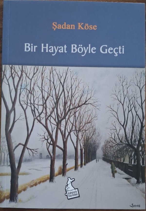 Bir Hayat Böyle Geçti kapağı
